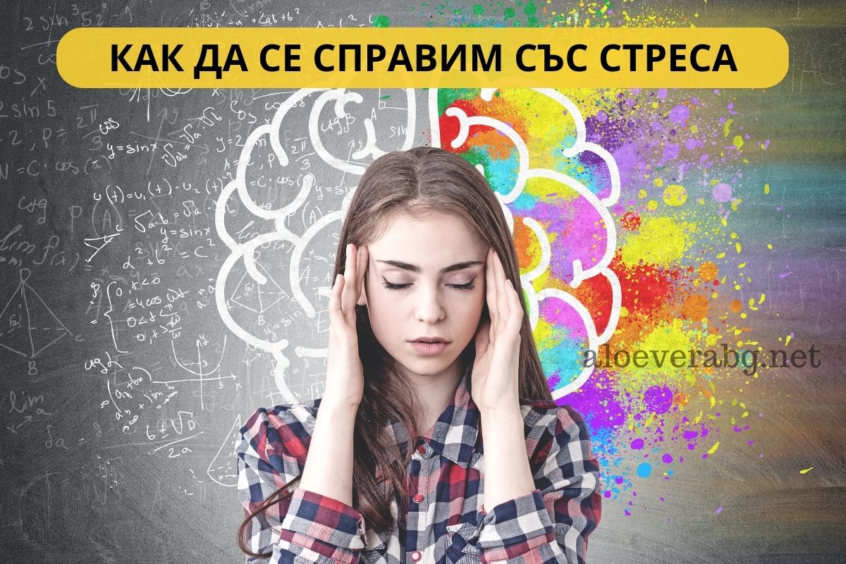 6 Начина за Справяне с Ежедневния Стрес!