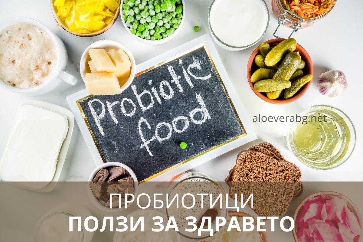 Пробиотици - Ето 6 Безценни Ползи за Здравето!