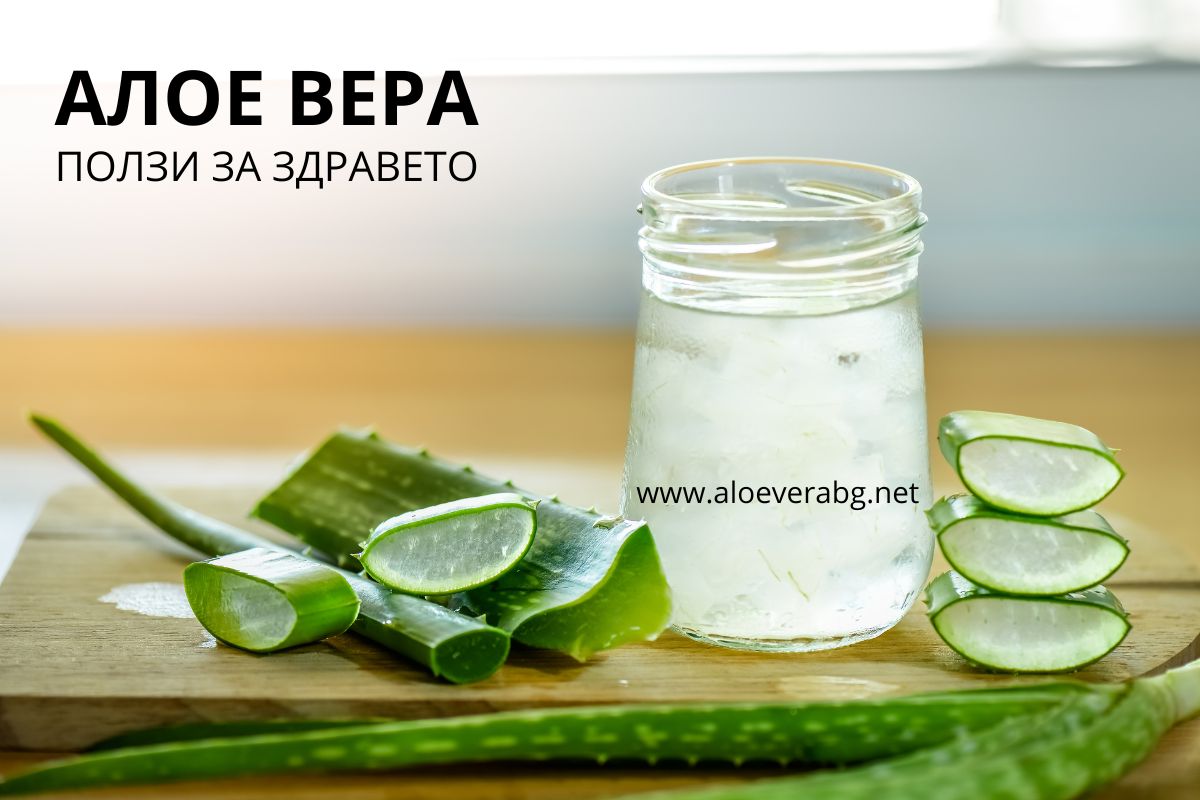 Вижте защо гелът от Алое Вера е толкова Полезен!