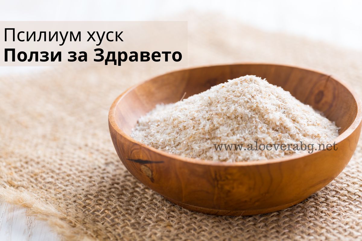 Фибри от семена Псилиум хуск - Вижте Невероятните им Ползи за Здравето!