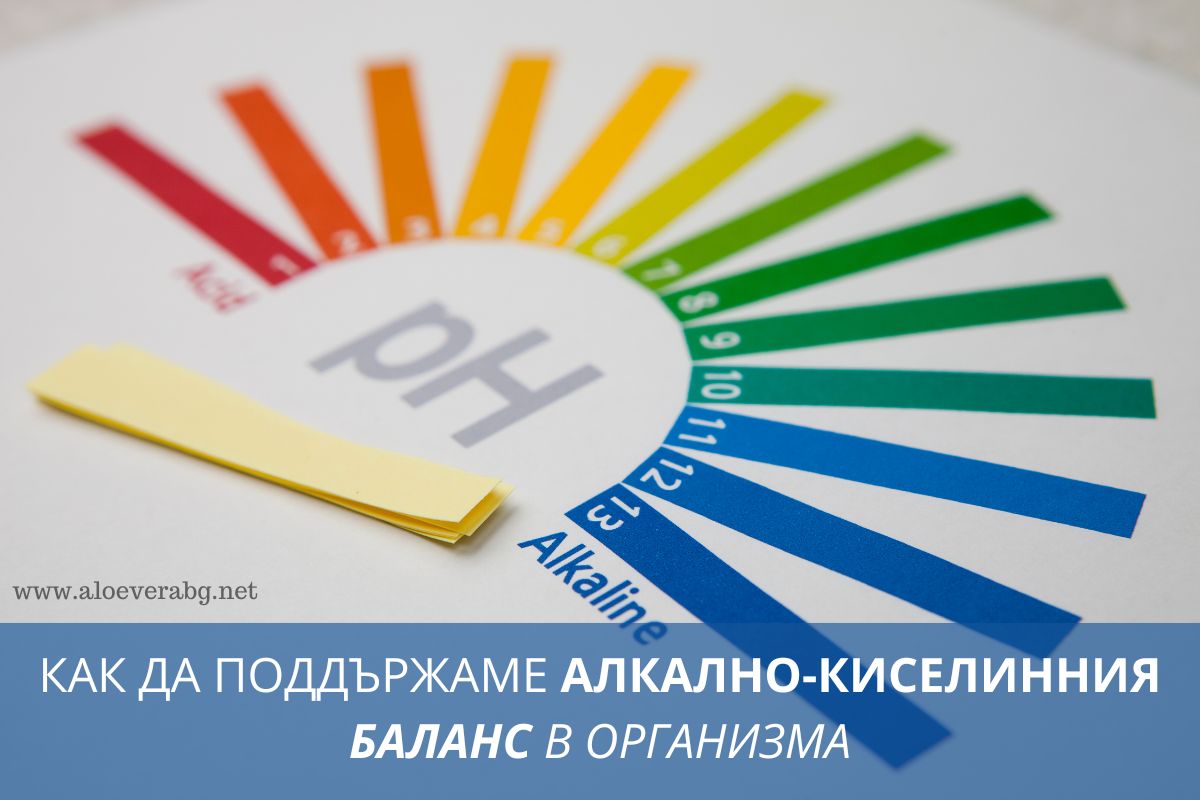 Алкални храни - Какви Здравословни Ползи носят и как да подобрим Алкално-киселинния баланс в организма?