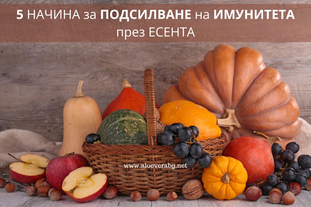 5 Начина да Подсилим Имунитета си през есента!