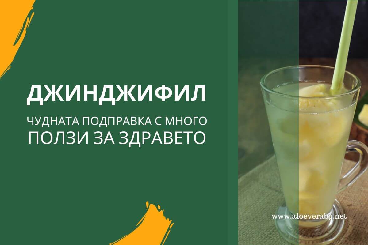 Джинджифил - Чудната подправка с много Ползи за здравето!