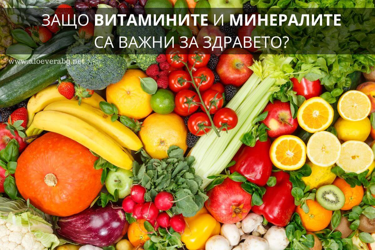 Ето защо Витамините и Минералите са ключови за Здравето ни!