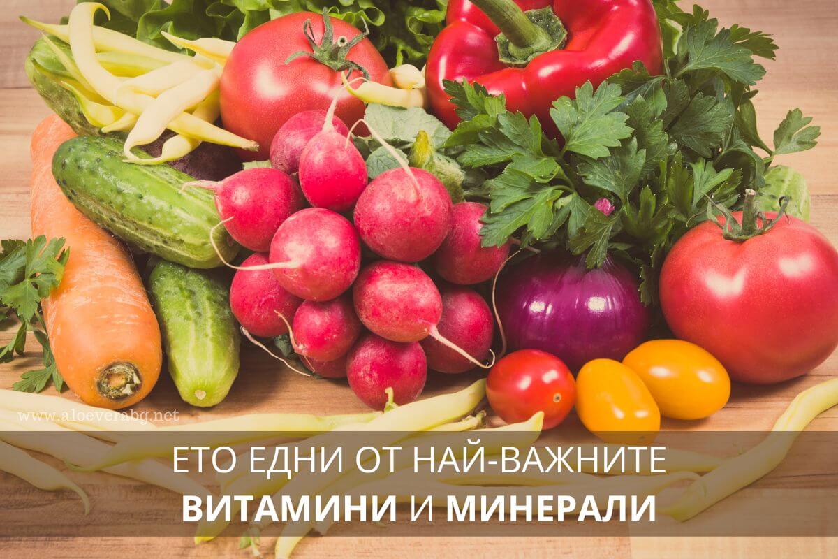 Ето едни от най-важните витамини и минерали