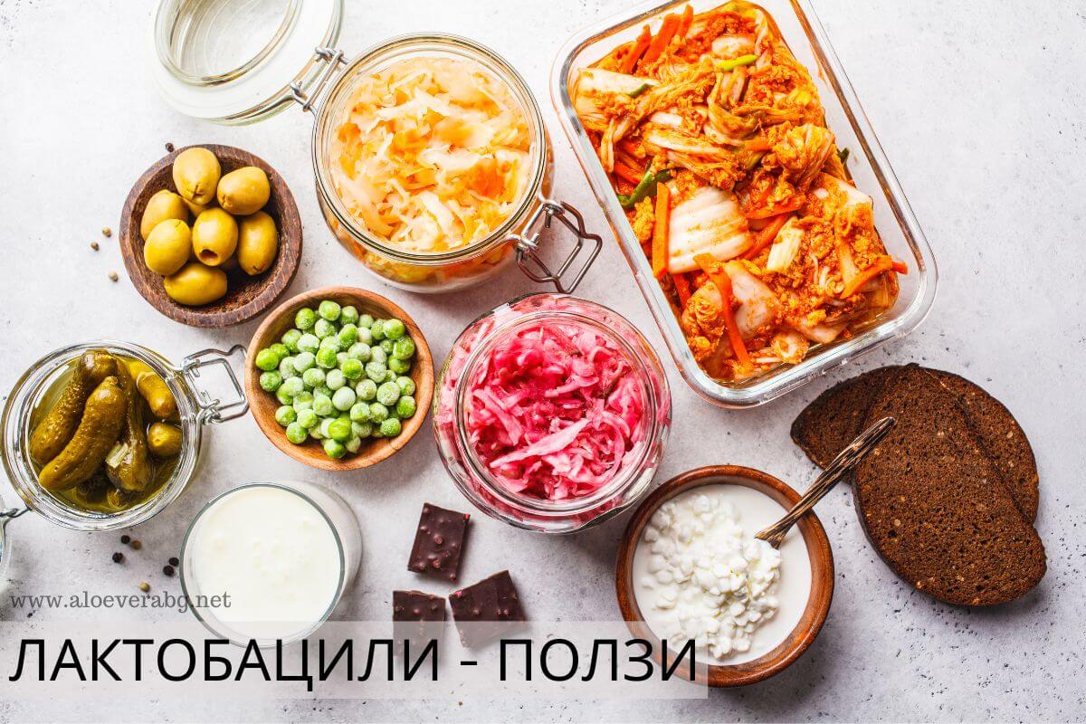 Лактобацили - Ползи за здравето