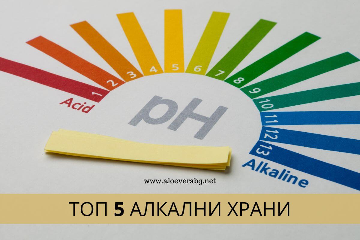Топ 5 алкални храни, които да включите в менюто си
