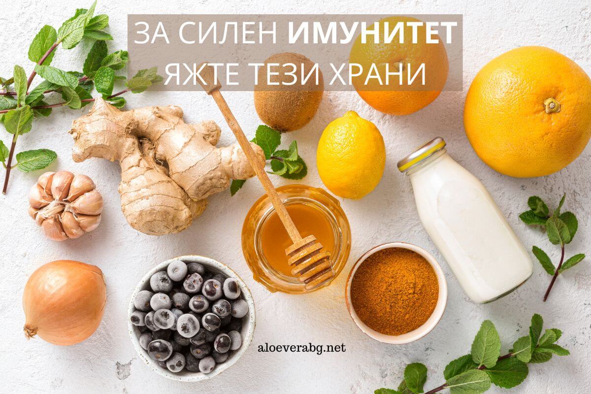 За дoбър имунитет - Включете тези храни в диетата си