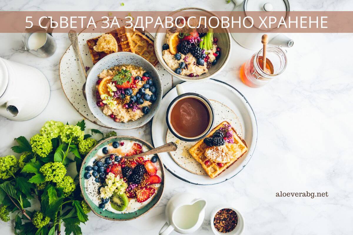 5 saveta za zdravoslovno hranene