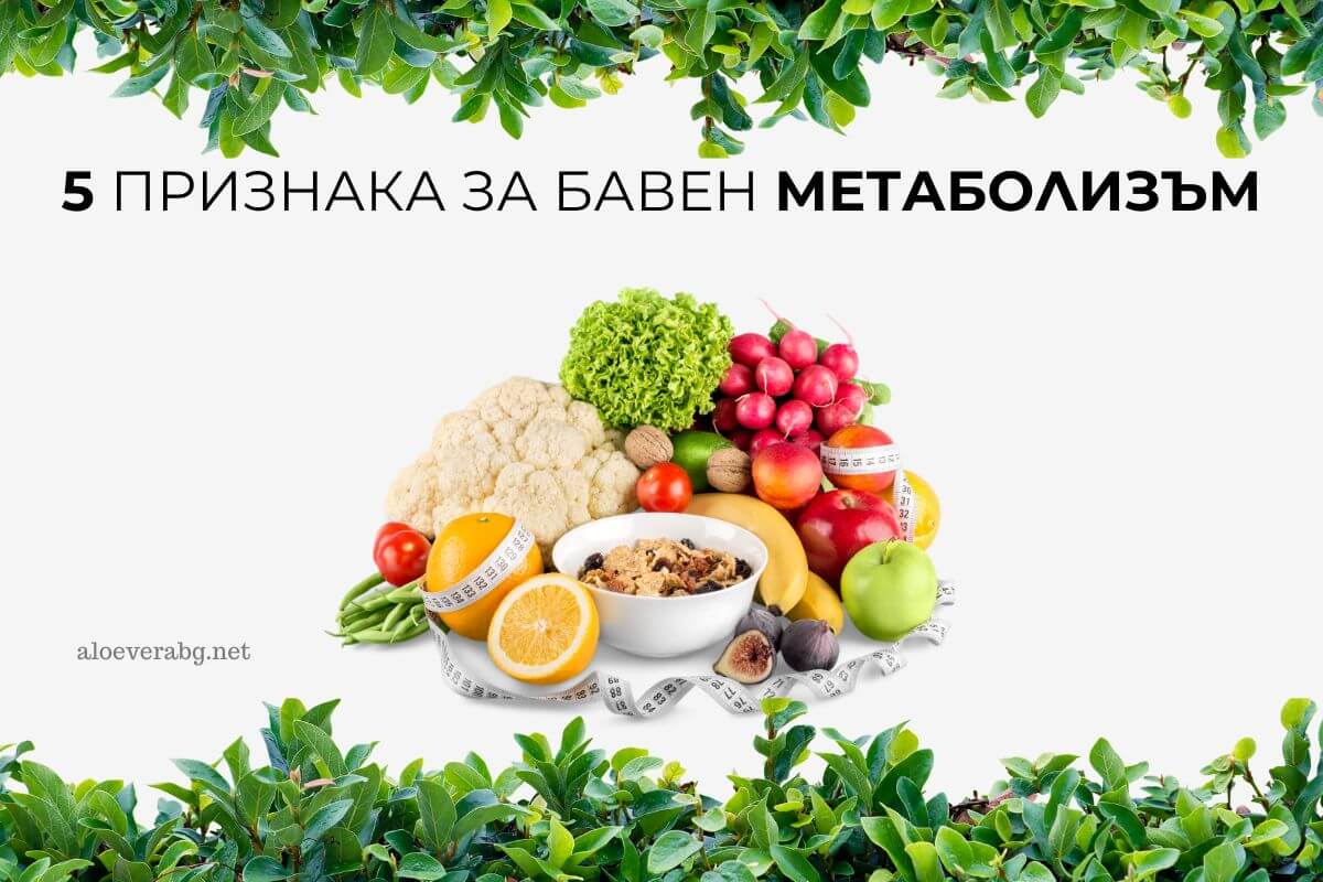 5 Признака, че имате бавен метаболизъм