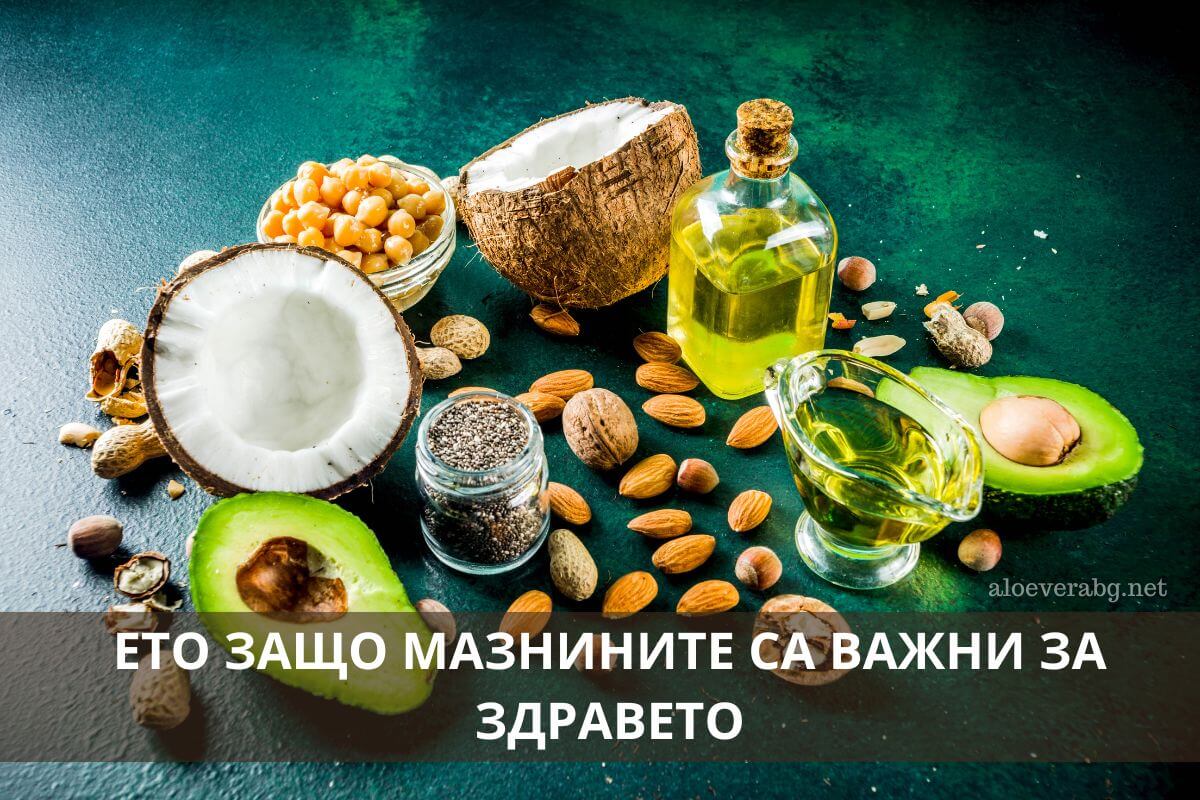 eto zashto mazninite sa vajni za zdraveto